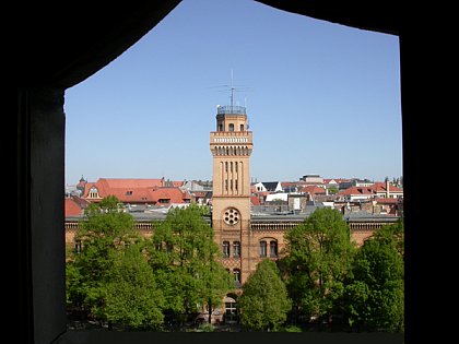 Blick von der Moritzburg auf das zukünftige Museumsgebäude am Friedemann-Bach-Platz in Halle (Saale). © F. Steinheimer, ZNS.