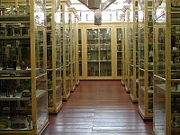 Blick in einen der Sammlungsrume der Meckelschen Sammlungen, Anatomischen Sammlung, Foto: Meckelschen Sammlungen