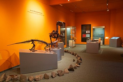 Blick in die Sonderausstellung im Naturkundemuseum Leipzig. Foto: Arila Perl, 2016.
