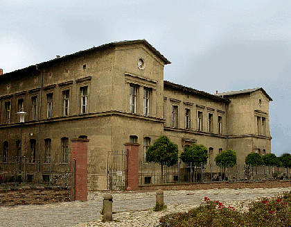 Institutsgebäude der Zoologie am Domplatz 4, in dem derzeit die Zoologische Sammlung auf drei Etagen zerstreut untergebracht ist. Dieser spätklassizistische Bau wurde 1839 als Chirurgische Klink der Universität erbaut. © F. Steinheimer, ZNS.