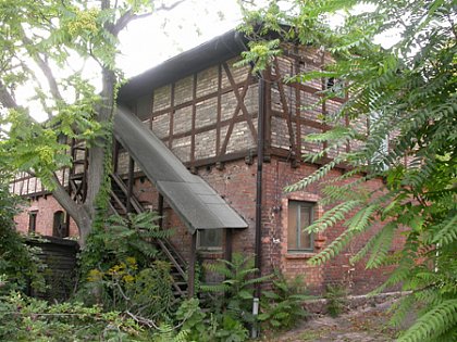 Ehemalige Ostansicht des Stallgebäudes mit partieller Nutzung für den Schaubetrieb Museum für Haustierkunde „Julius Kühn“. Die Freitreppe wurde aus statischen Sicherheitsgründen im jahr 2010 abgenommen. © F. Steinheimer, ZNS.