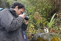 Fotoaufnahme von einer Halsbandeule
(Otus bakkamoena) im Norden Myanmars 2007.
© J. Eames & F. Steinheimer.