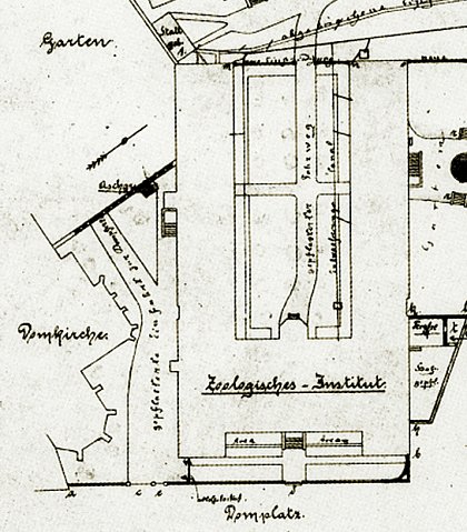 Das Zentralmagazin Naturwissenschaftlicher Sammlungen im historischen 
Gebude, Ausschnitt der historischen Gebudeansicht.  Achiv ZNS, 2011.