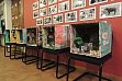 MuseobilBOX Nutztierbox 1, 2015. © Archiv ZNS