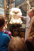Die Entdeckung von NaSamMedia, 2015, Besuch der Zoologischen Sammlung mit Rüdiger Becker. © Archiv ZNS