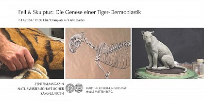 Tigerevent